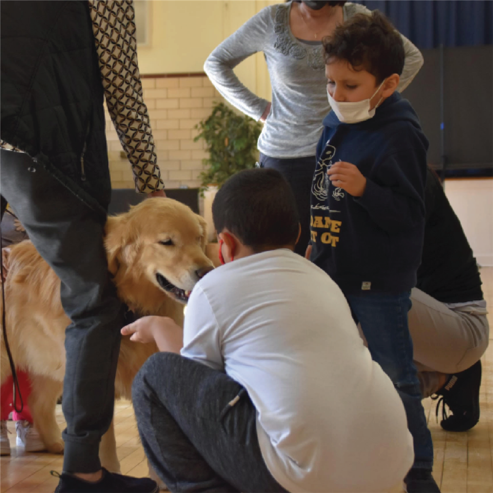  Students get a visit from a pet therapy dog. 